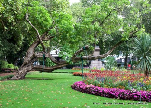 Whitehall Gardens, Londres, Royaume-Uni