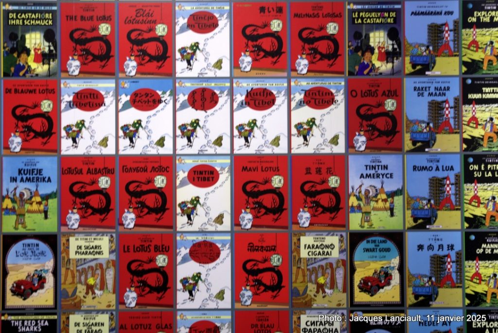 Tintin, l’aventure immersive, Montréal, Québec