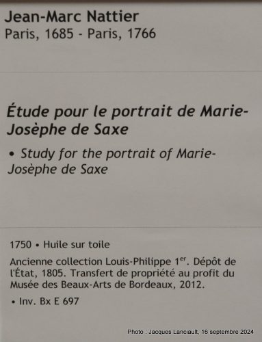 Musée des Beaux-Arts, Bordeaux, Nouvelle-Aquitaine, France