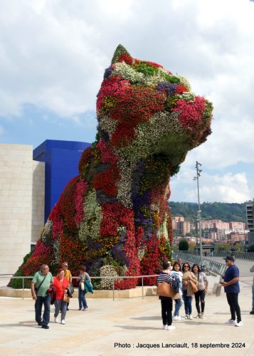 Musée Guggenheim, Bilbao, Pays basques, Espagne