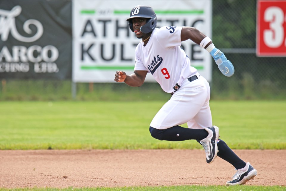 Brandon Hernandez, BayCats de Barrie, Canadian Baseball League
