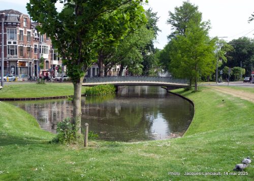 Canal, Rotterdam, Pays-Bas