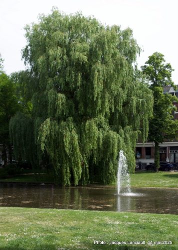 Spoorsingel, Rotterdam, Pays-Bas