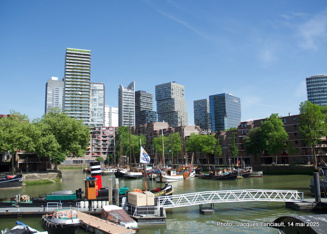 Rotterdam : le Musée maritime du port avec ses navires et ses grues et le magnifique pont Erasmus!