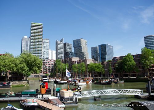 Gratte-ciel, Rotterdam, Pays-Bas