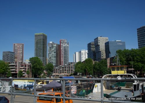 Édifices, Rotterdam, Pays-Bas