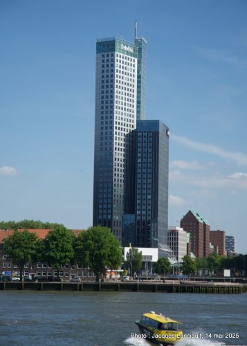 Bateau taxi, Rotterdam, Pays-Bas