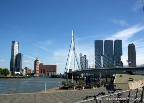 Pont Erasmus, Rotterdam, Pays-Bas