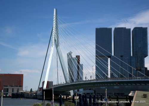 Pont Erasmus, Rotterdam, Pays-Bas
