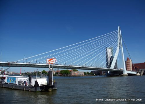 Pont Erasmus, Rotterdam, Pays-Bas