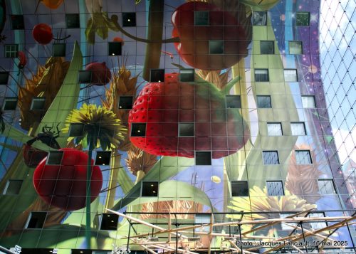 Markthal, Rotterdam, Pays-Bas