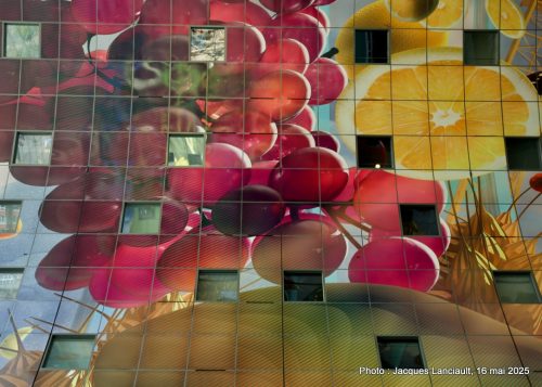 Markthal, Rotterdam, Pays-Bas