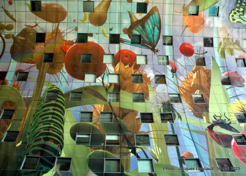 Markthal, Rotterdam, Pays-Bas
