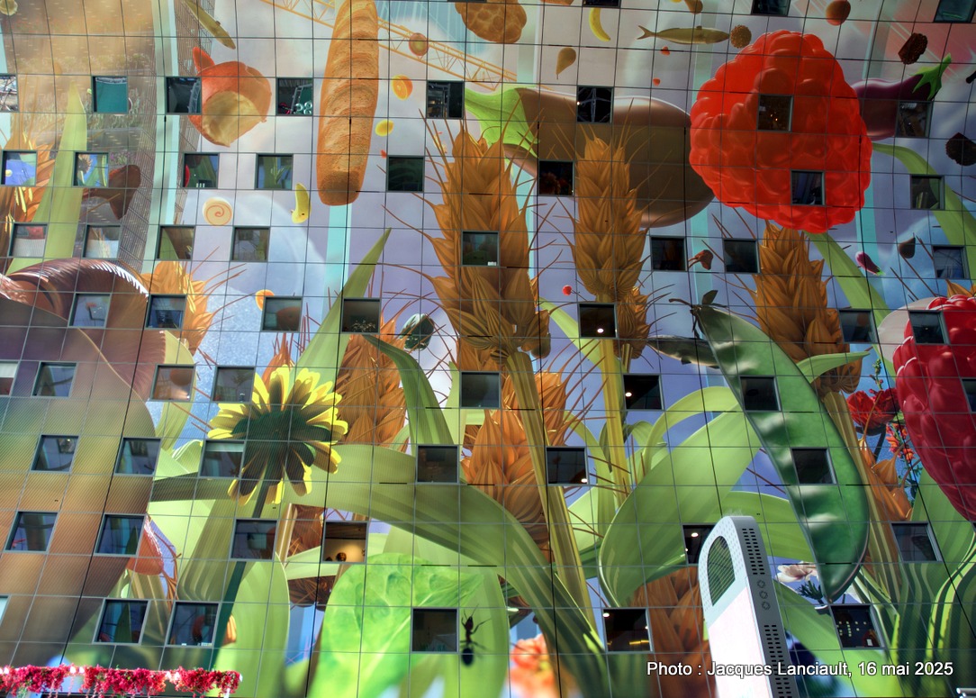 Un édifice remarquable, un plafond couvert de murales, des produits magnifiquement mis en valeur : le Markthal, c’est tout cela et plus!