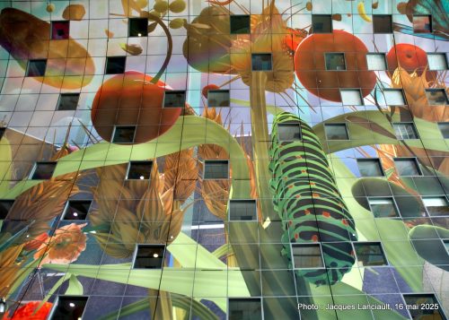 Markthal, Rotterdam, Pays-Bas