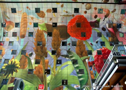 Markthal, Rotterdam, Pays-Bas