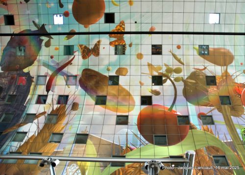 Markthal, Rotterdam, Pays-Bas