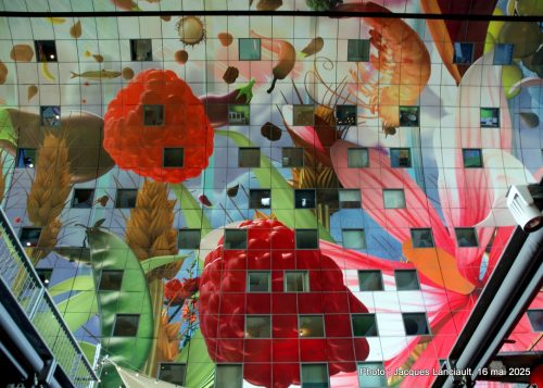 Markthal, Rotterdam, Pays-Bas