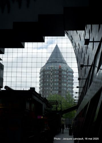 Markthal, Rotterdam, Pays-Bas