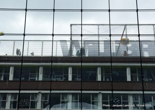 Markthal, Rotterdam, Pays-Bas