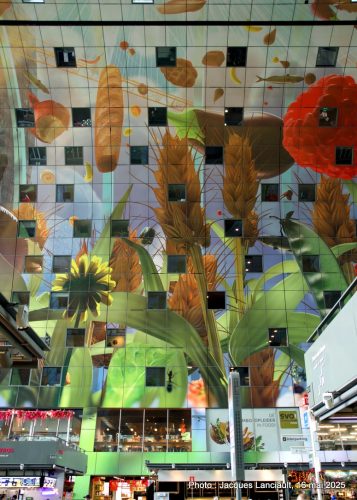 Markthal, Rotterdam, Pays-Bas