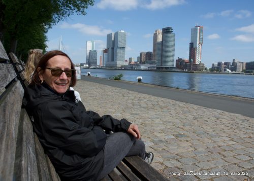 16 mai 2025 - Immeubles, Rotterdam, Pays-Bas