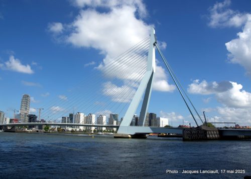 Pont Erasmus, Rotterdam, Pays-Bas