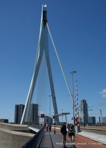 Pont Erasmus, Rotterdam, Pays-Bas