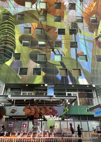Markthal, Rotterdam, Pays-Bas