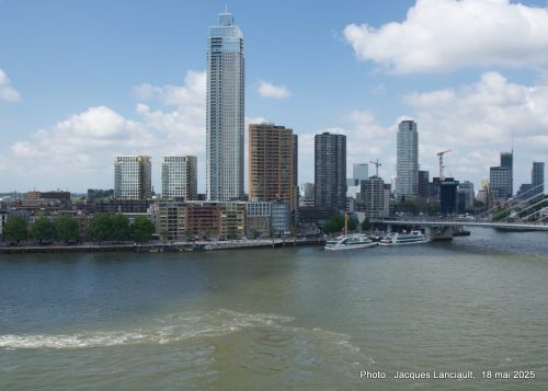 Immeubles, Rotterdam, Pays-Bas