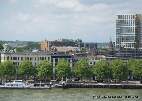 Immeubles, Rotterdam, Pays-Bas