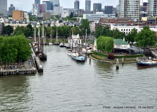 Marina, Rotterdam, Pays-Bas