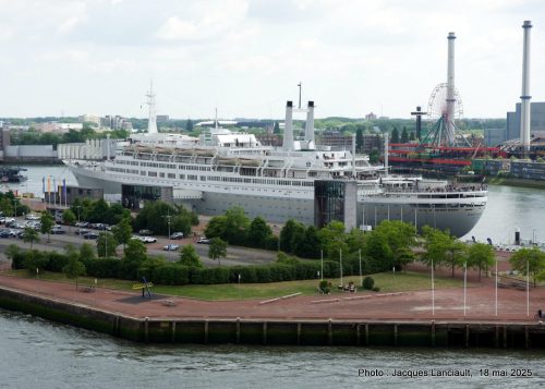 Le Rotterdam, Holland America, Rotterdam, Pays-Bas