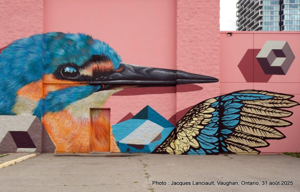 Murales Birds of a Feather, Vaughan, Ontario, Canada