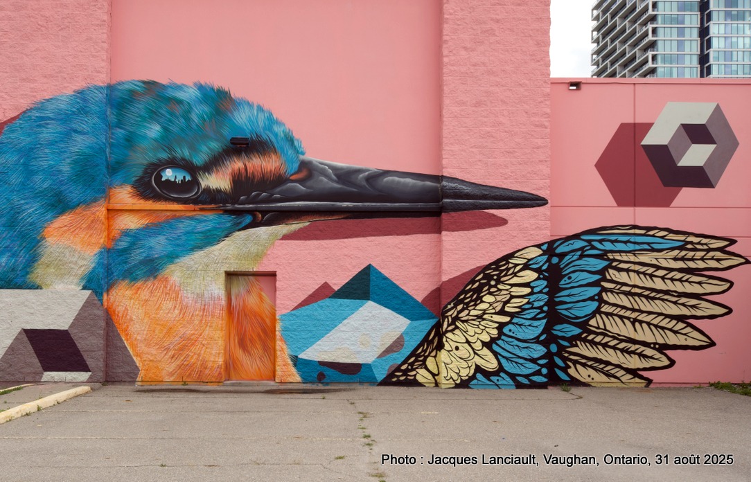 Murales Birds of a Feather, Vaughan, Ontario, Canada