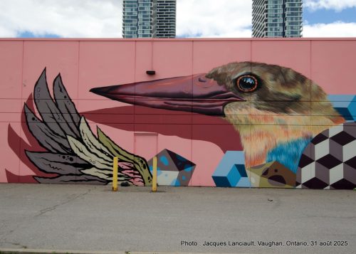 Murales Birds of a Feather, Vaughan, Ontario