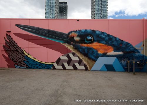 Murales Birds of a Feather, Vaughan, Ontario