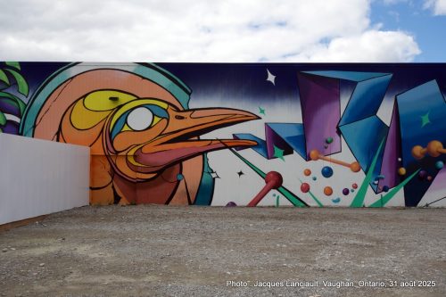 Jeremy Shantz, Vaughan, Ontario