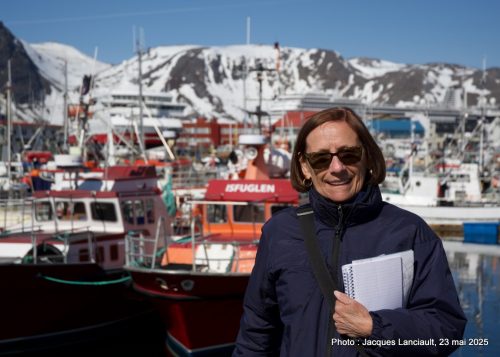 23 mai 2025 - Port, Honningsvåg, Norvège