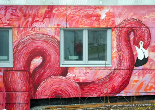 Murale, Tromsø, Norvège