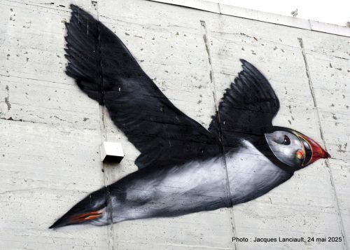 Artic Jam, Tromsø, Norvège