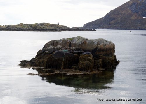 Îlot rocheux, Sund, îles Lofoten, Norvège