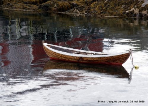 Chaloupe, Sund, îles Lofoten, Norvège