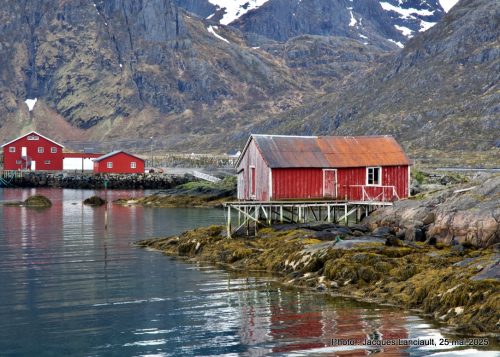 und, îles Lofoten, Norvège