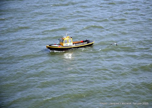 Bateau, Rotterdam, Pays-Bas