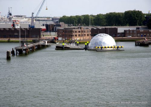 Drijvend Paviljoen, Rotterdam, Pays-Bas