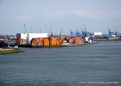 Grues et conteneurs, Rotterdam, Pays-Bas