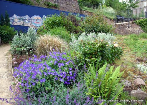 Jardin de Hawthorn Bank, South Queensferry, Écosse, Royaume-Uni