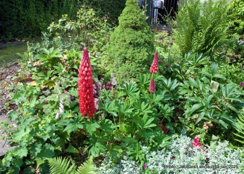 Jardins, South Queensferry, Écosse, Royaume-Uni