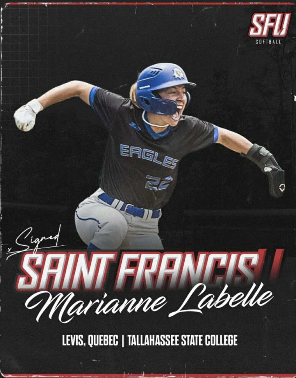 Marianne Labelle, Saint Francis University, NCAA DI